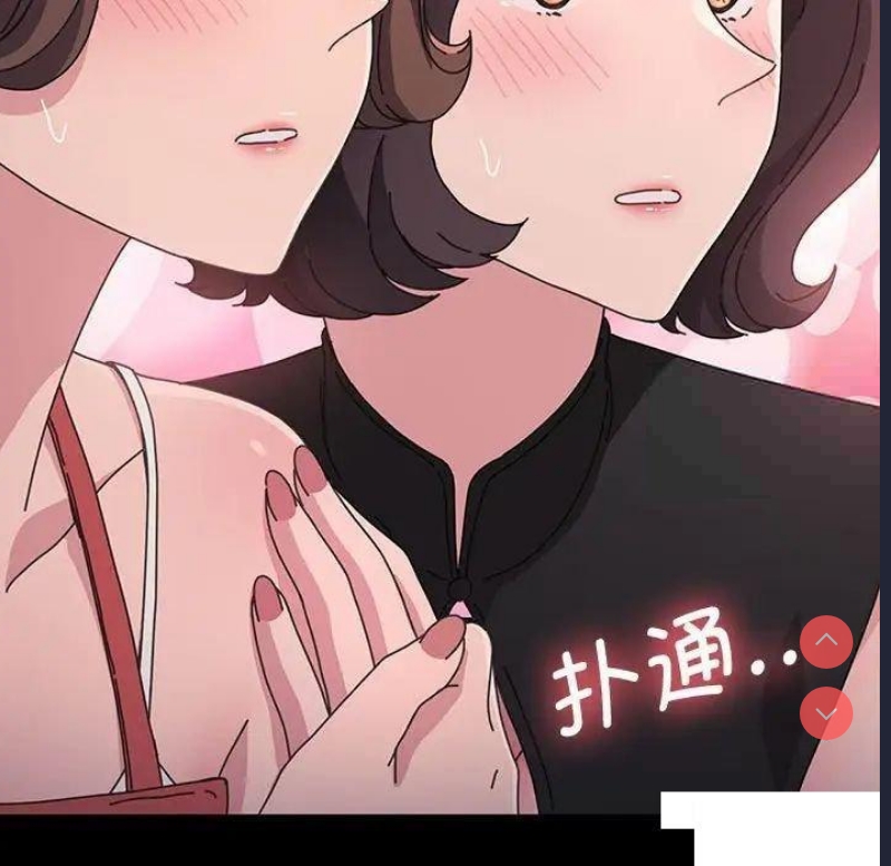我家的赘婿大人