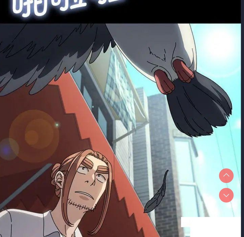我家的赘婿大人