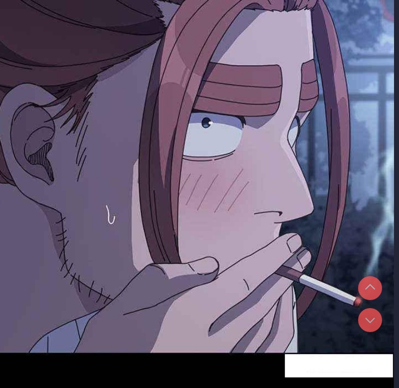 我家的赘婿大人