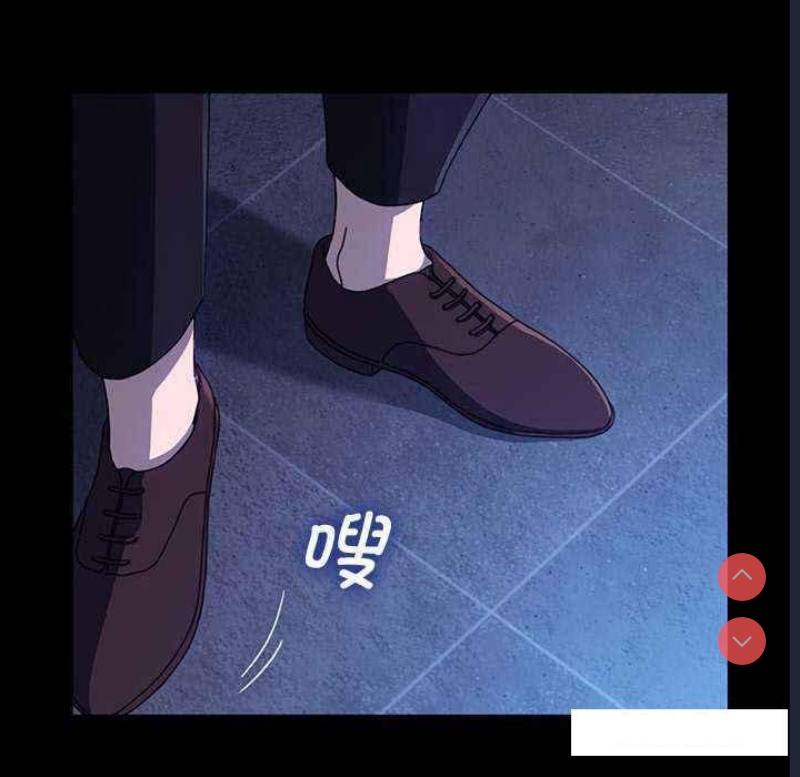 我家的赘婿大人