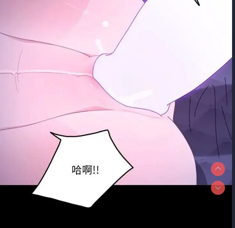 我家的赘婿大人