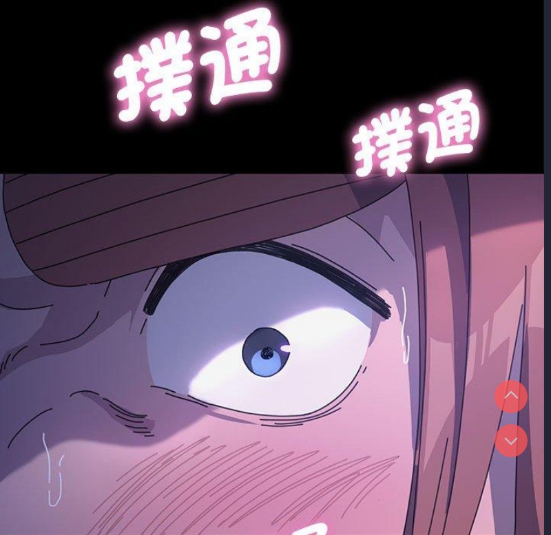 我家的赘婿大人