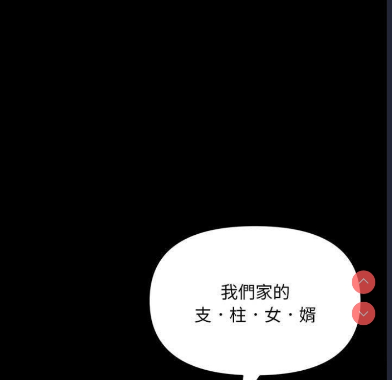 我家的赘婿大人