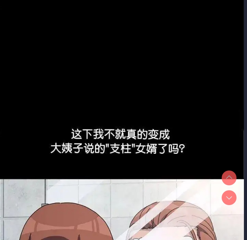 我家的赘婿大人