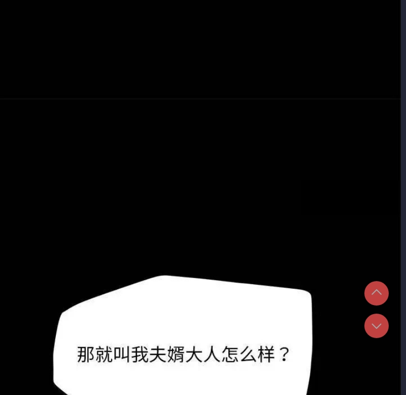 我家的赘婿大人