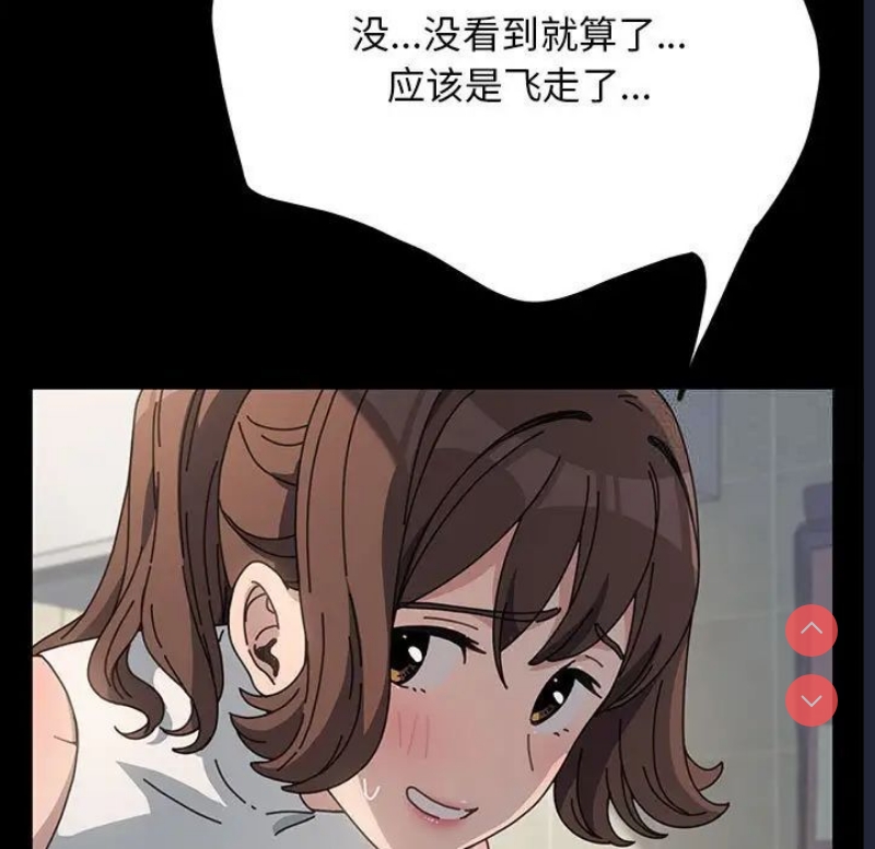 我家的赘婿大人