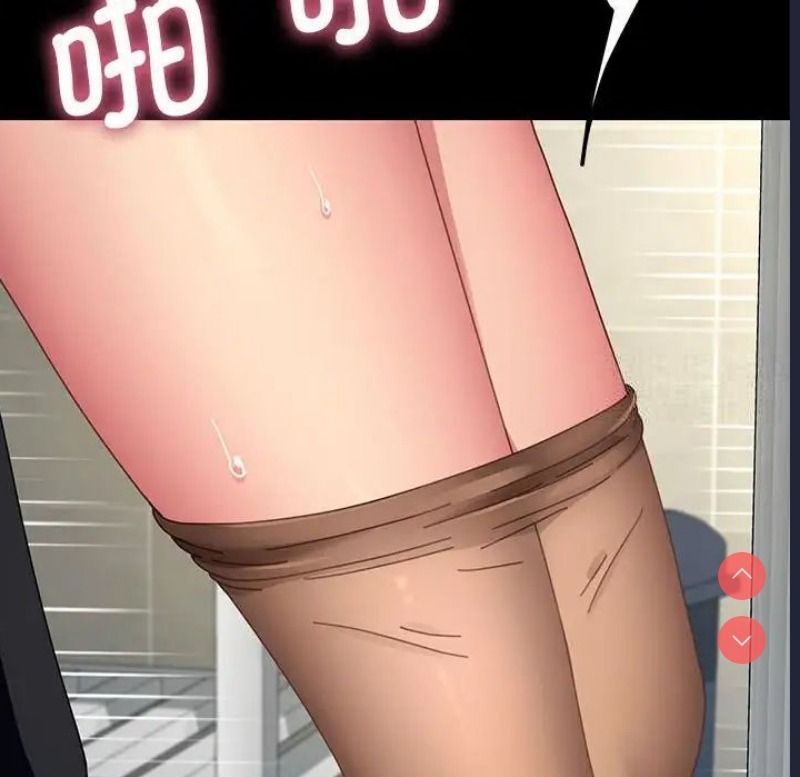 我家的赘婿大人