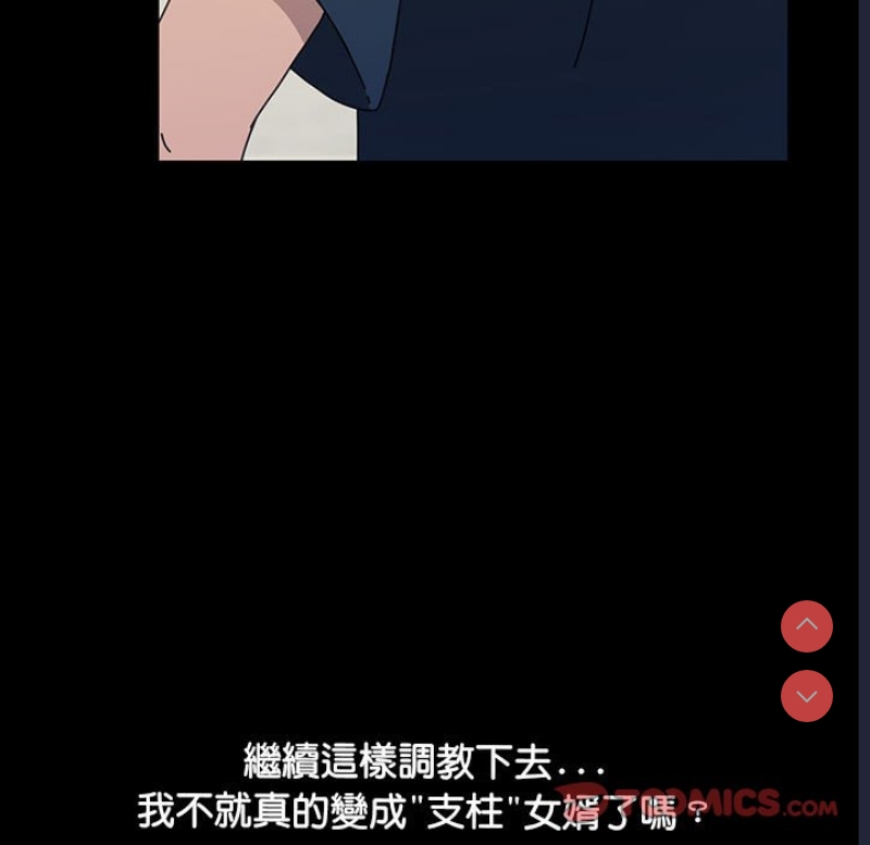 我家的赘婿大人