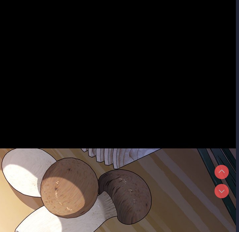 我家的赘婿大人