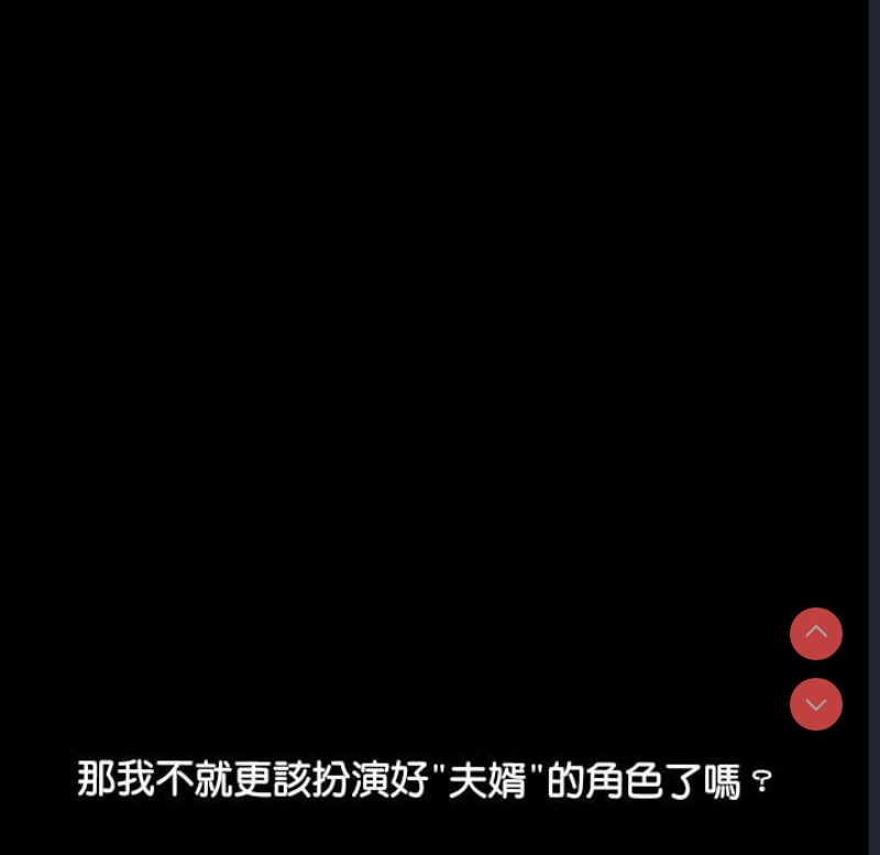 我家的赘婿大人
