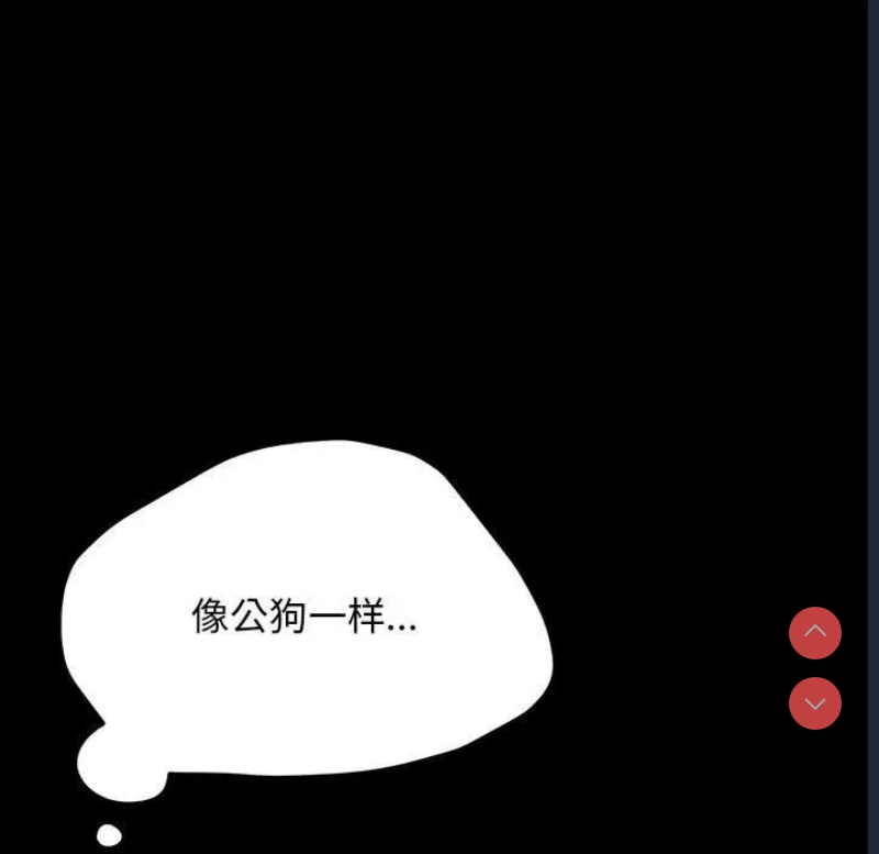 我家的赘婿大人