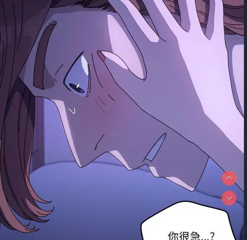 我家的赘婿大人