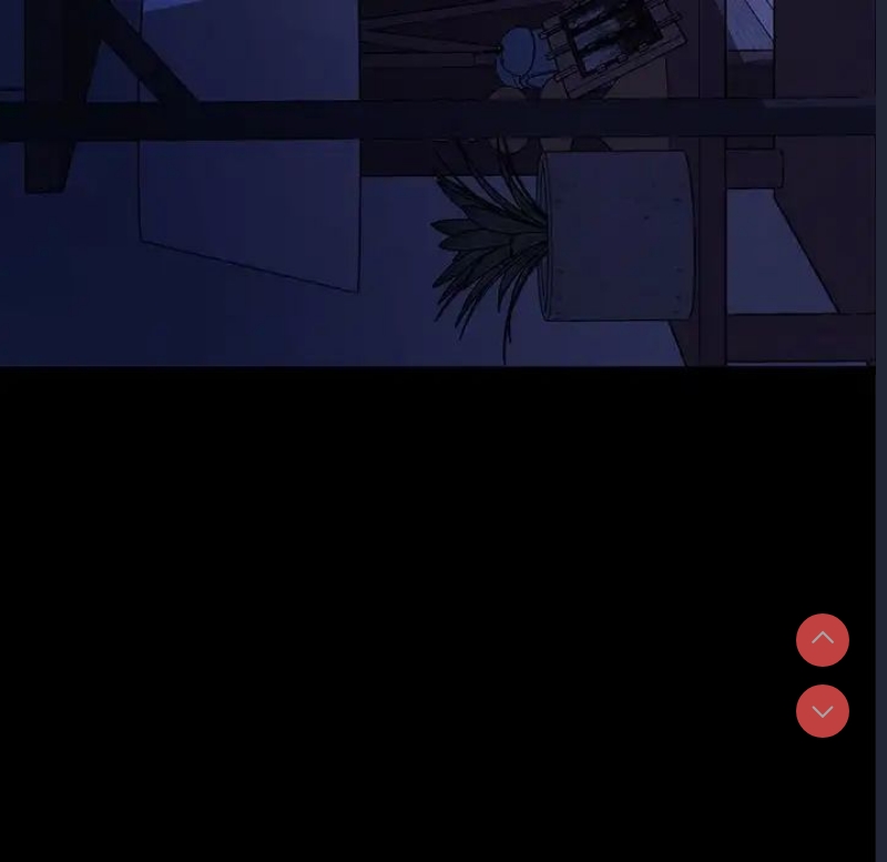 我家的赘婿大人