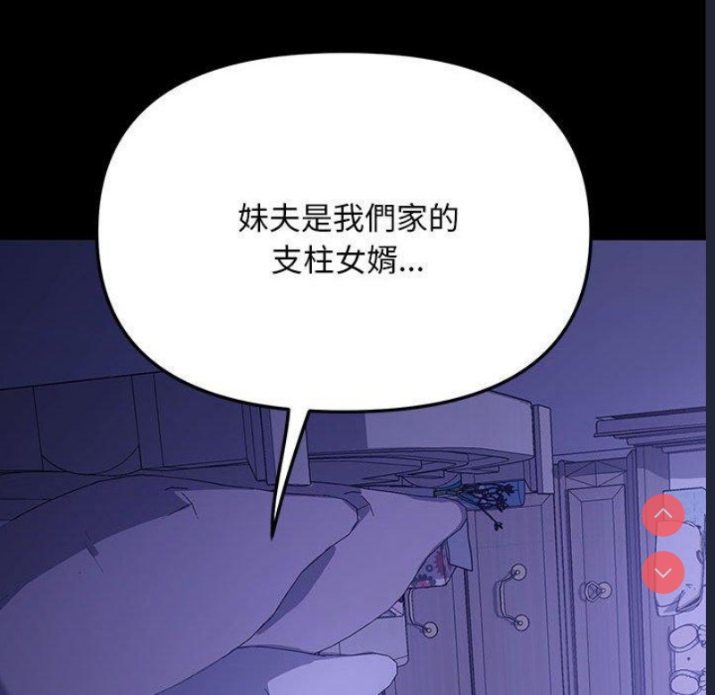 我家的赘婿大人