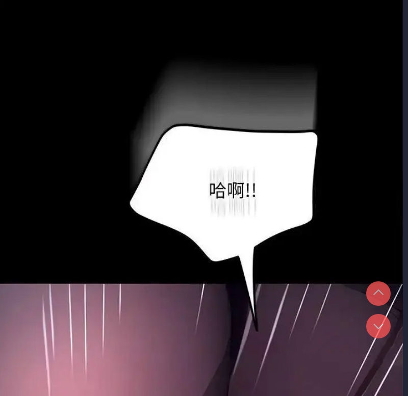 我家的赘婿大人