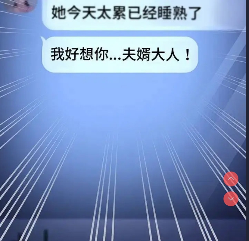 我家的赘婿大人