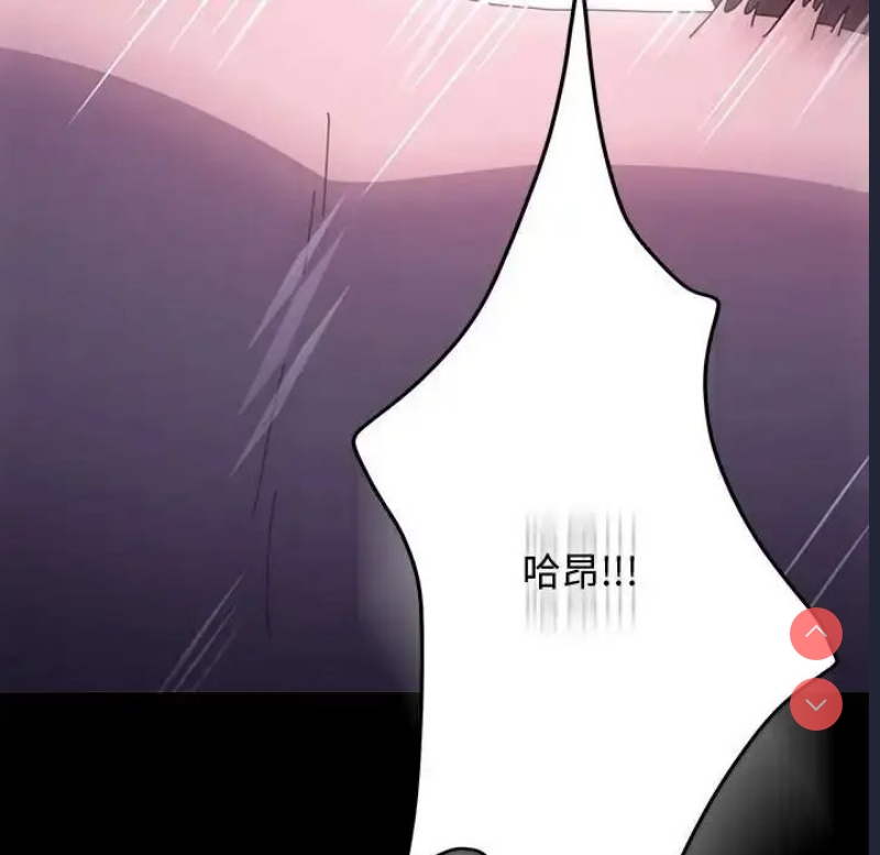 我家的赘婿大人
