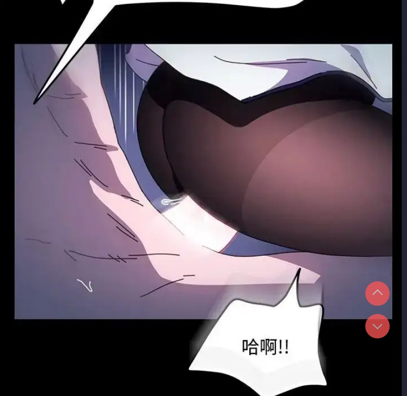 我家的赘婿大人