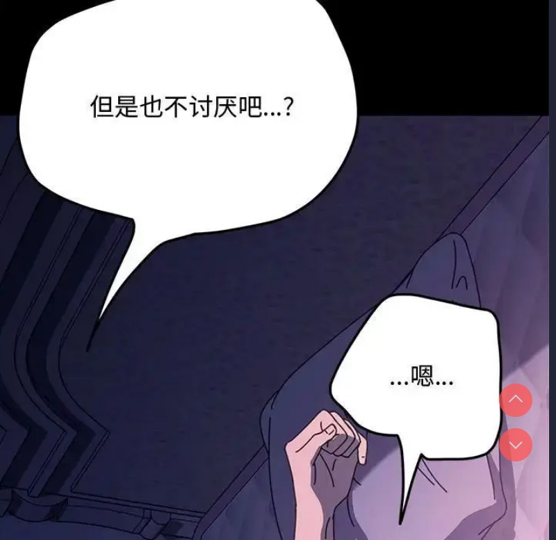 我家的赘婿大人
