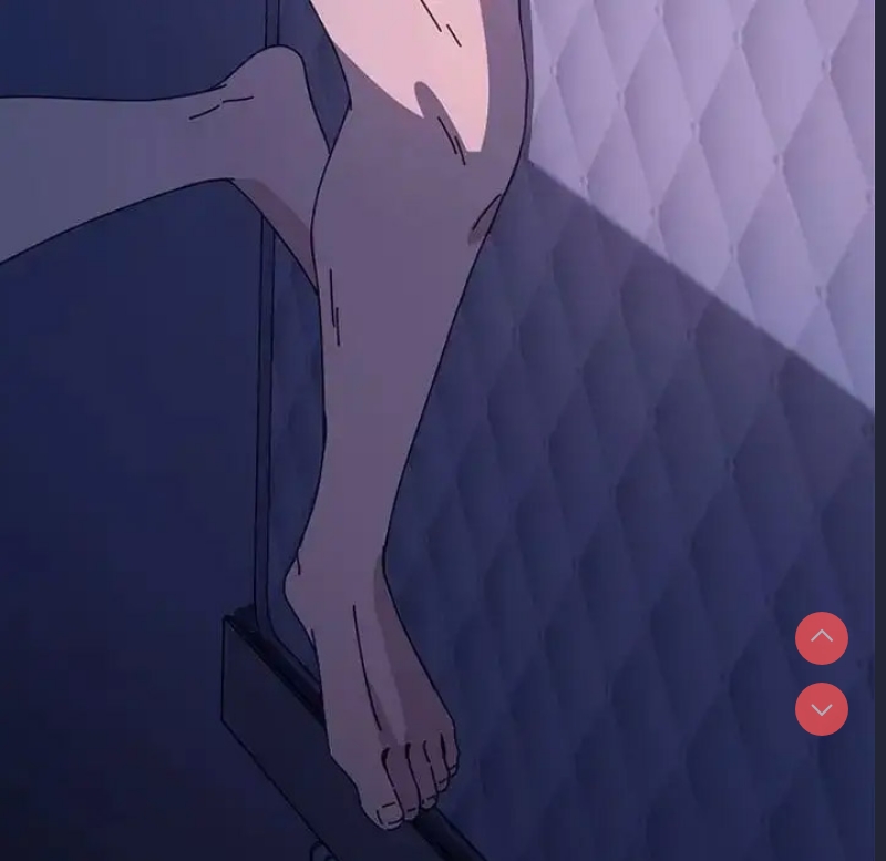 我家的赘婿大人