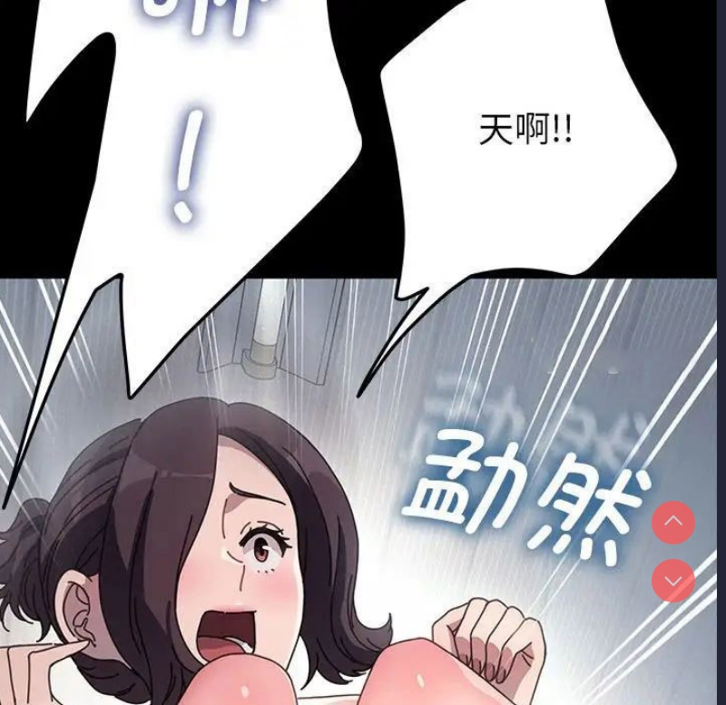 我家的赘婿大人