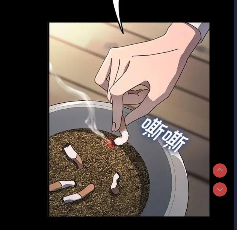 我家的赘婿大人