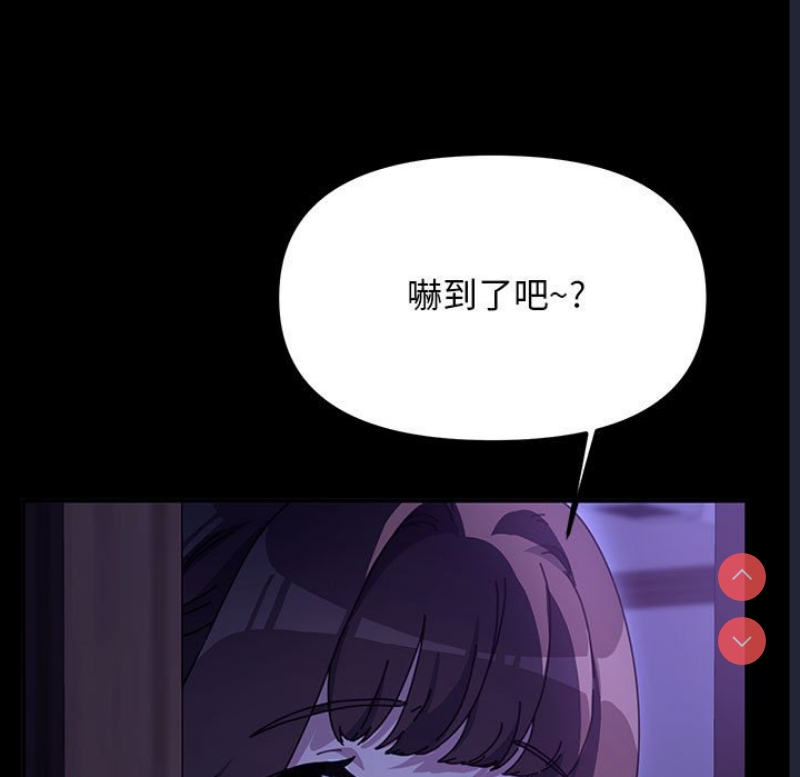 我家的赘婿大人