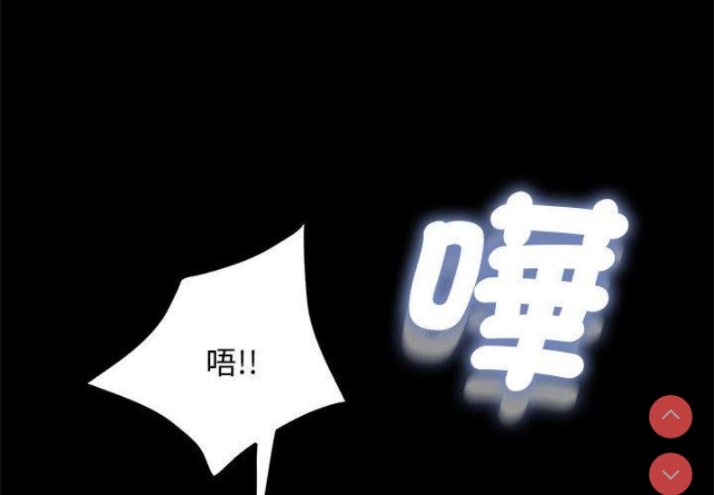 我家的赘婿大人