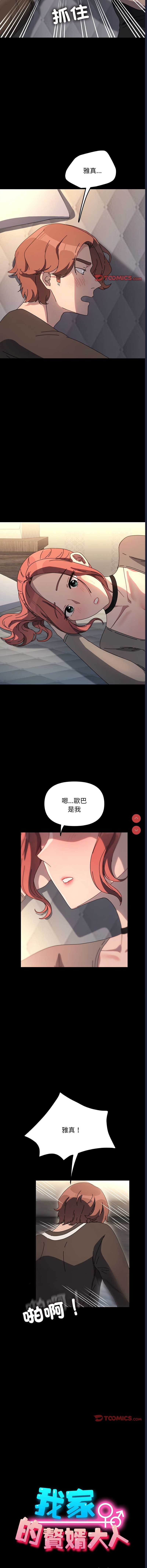 我家的赘婿大人