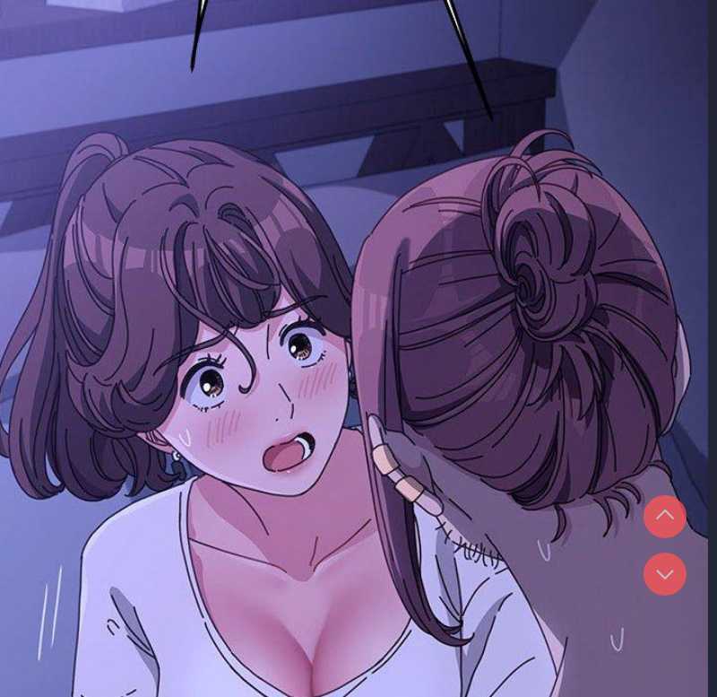 我家的赘婿大人