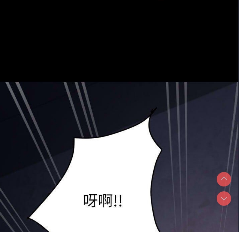 我家的赘婿大人