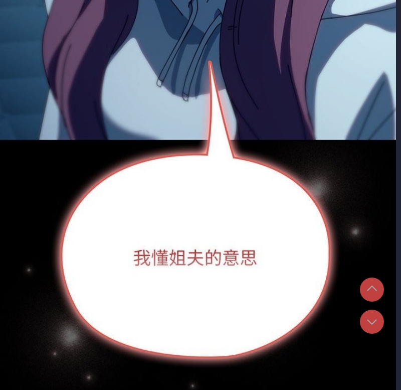 我家的赘婿大人
