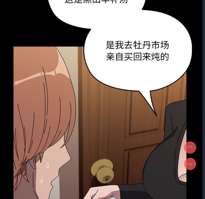 我家的赘婿大人