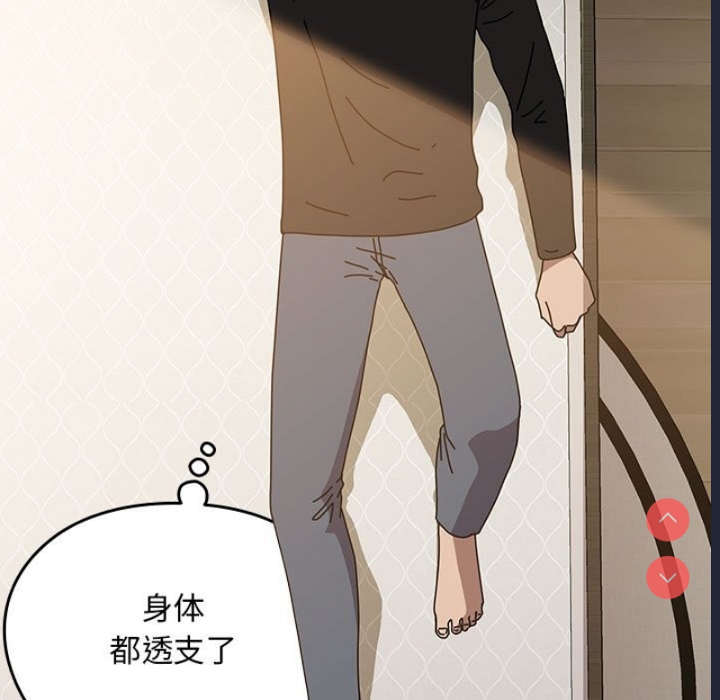 我家的赘婿大人