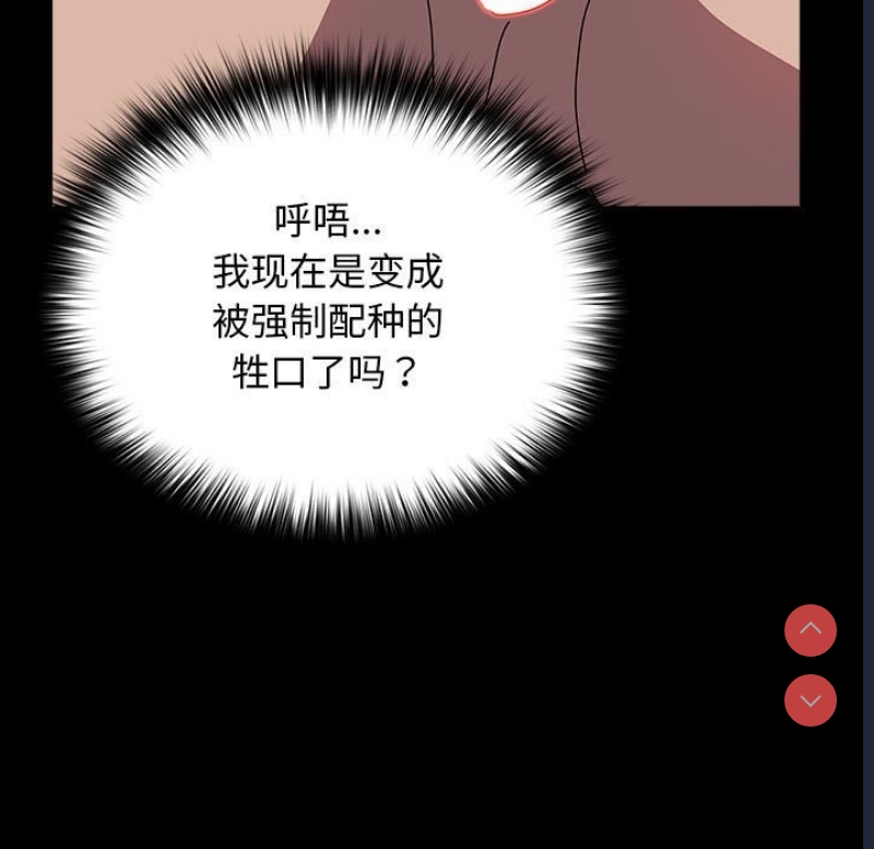 我家的赘婿大人