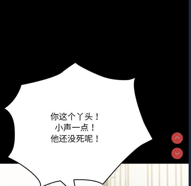 我家的赘婿大人