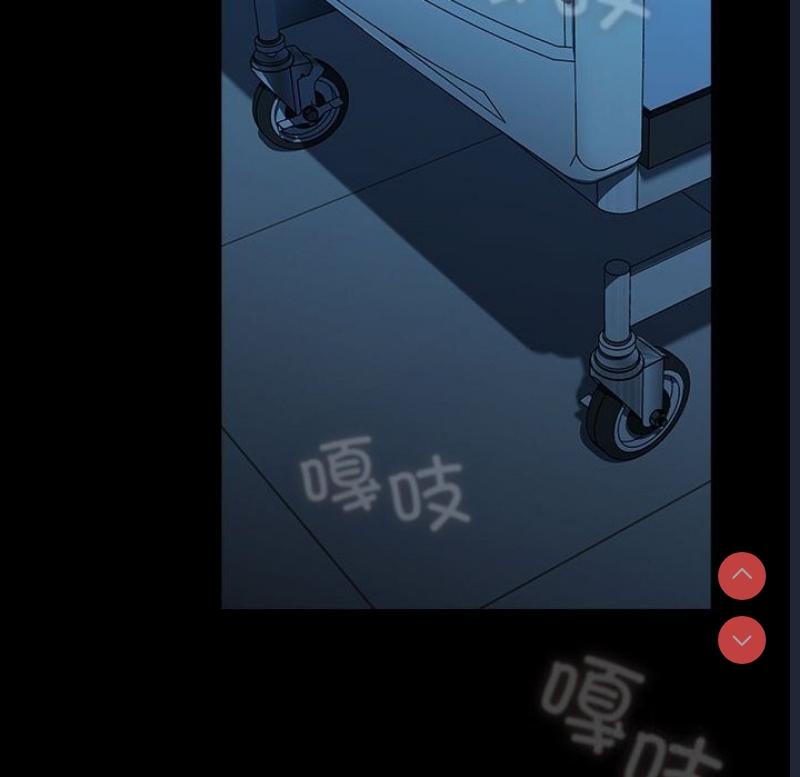 我家的赘婿大人