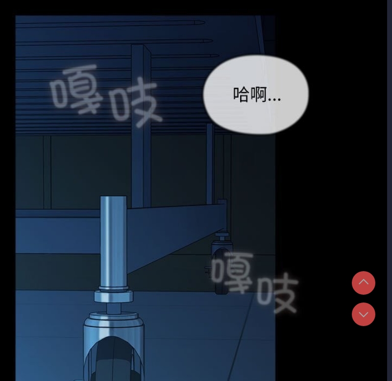 我家的赘婿大人