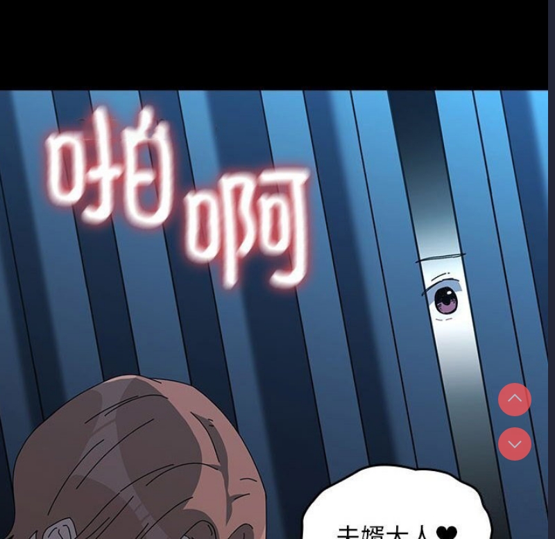 我家的赘婿大人