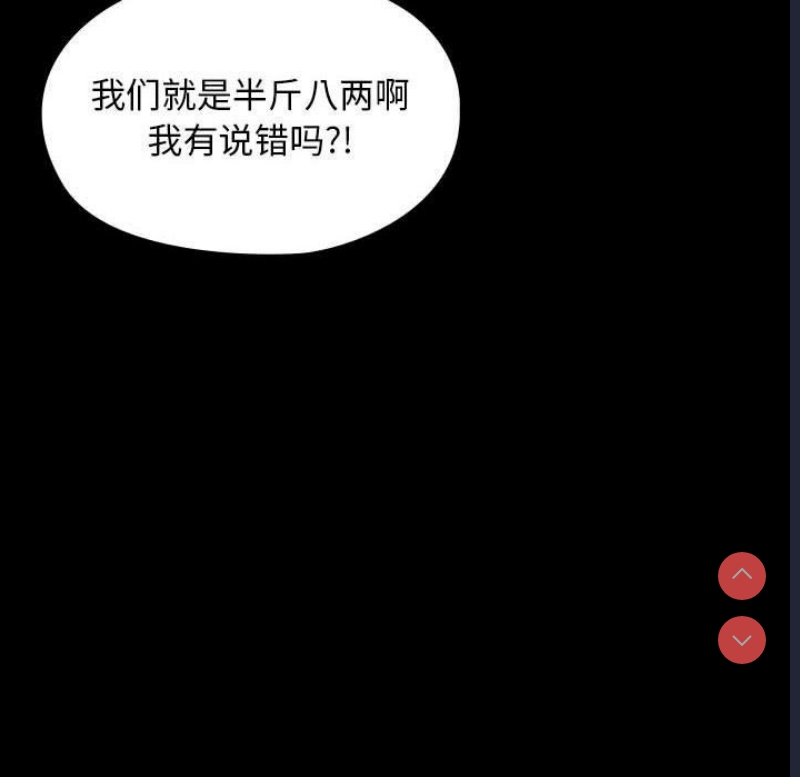 我家的赘婿大人