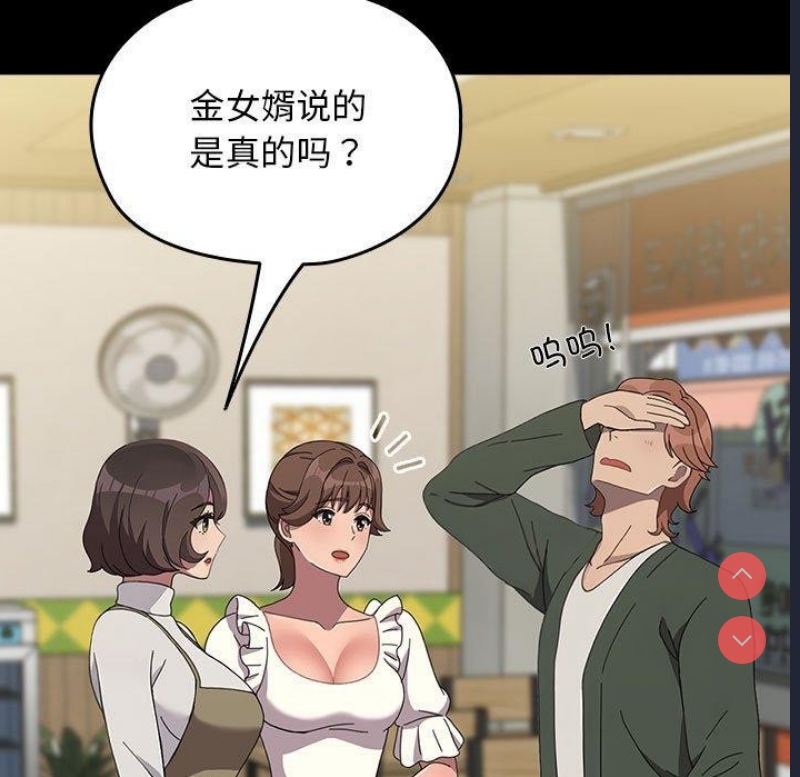 我家的赘婿大人
