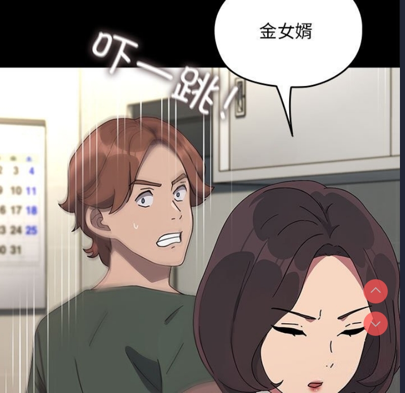 我家的赘婿大人