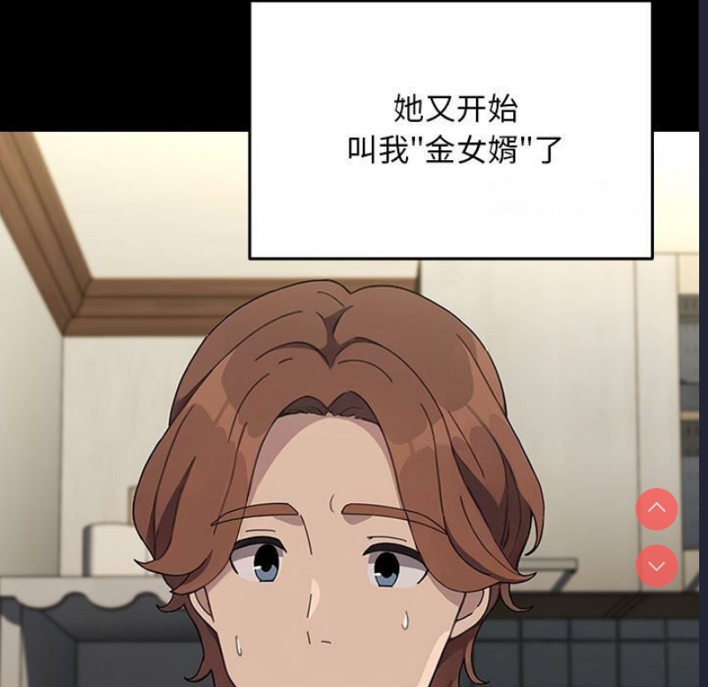 我家的赘婿大人
