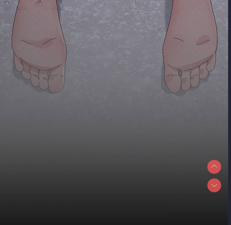 我家的赘婿大人