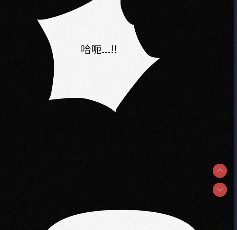 我家的赘婿大人