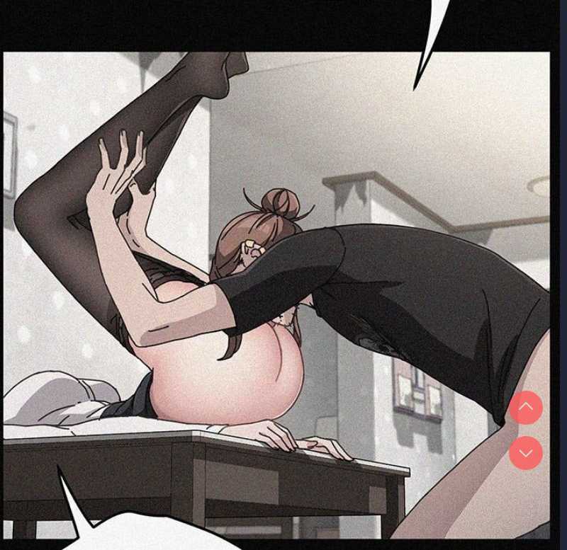 我家的赘婿大人