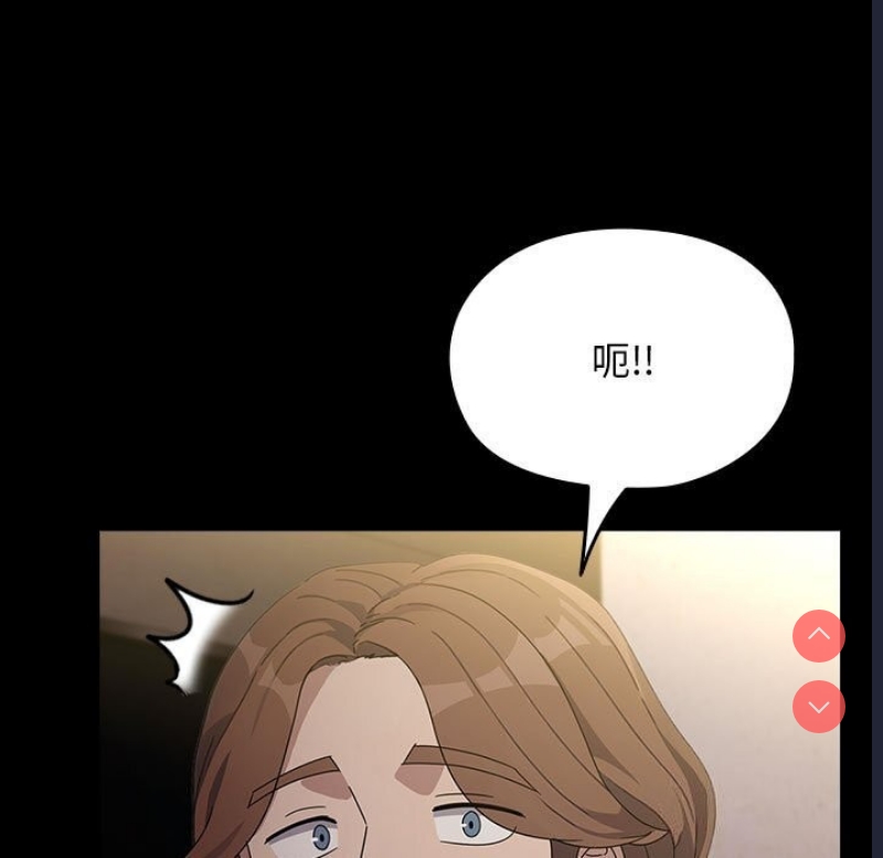 我家的赘婿大人