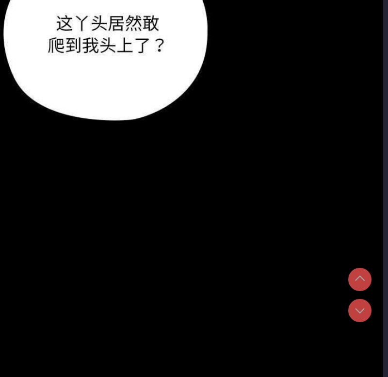 我家的赘婿大人