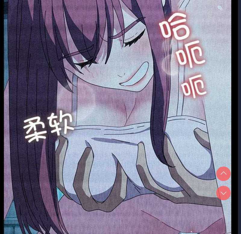 我家的赘婿大人