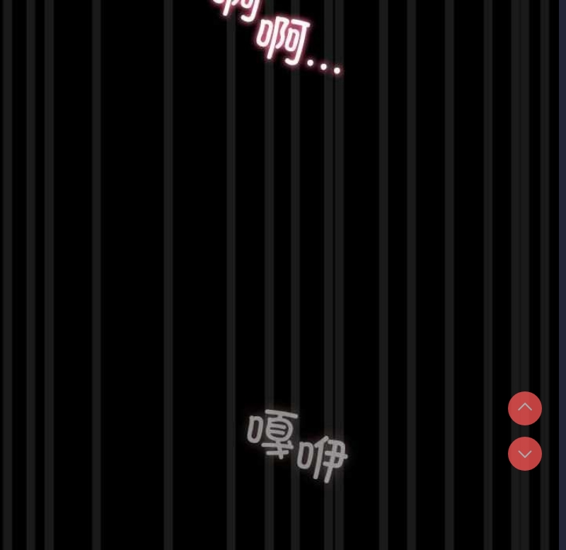 我家的赘婿大人